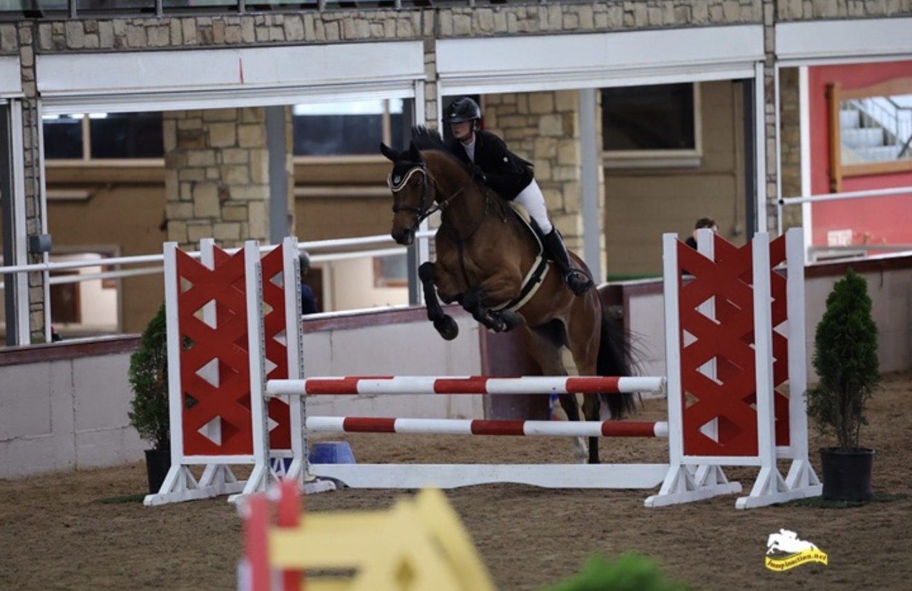 Smashing Cascari 4yro photo 3