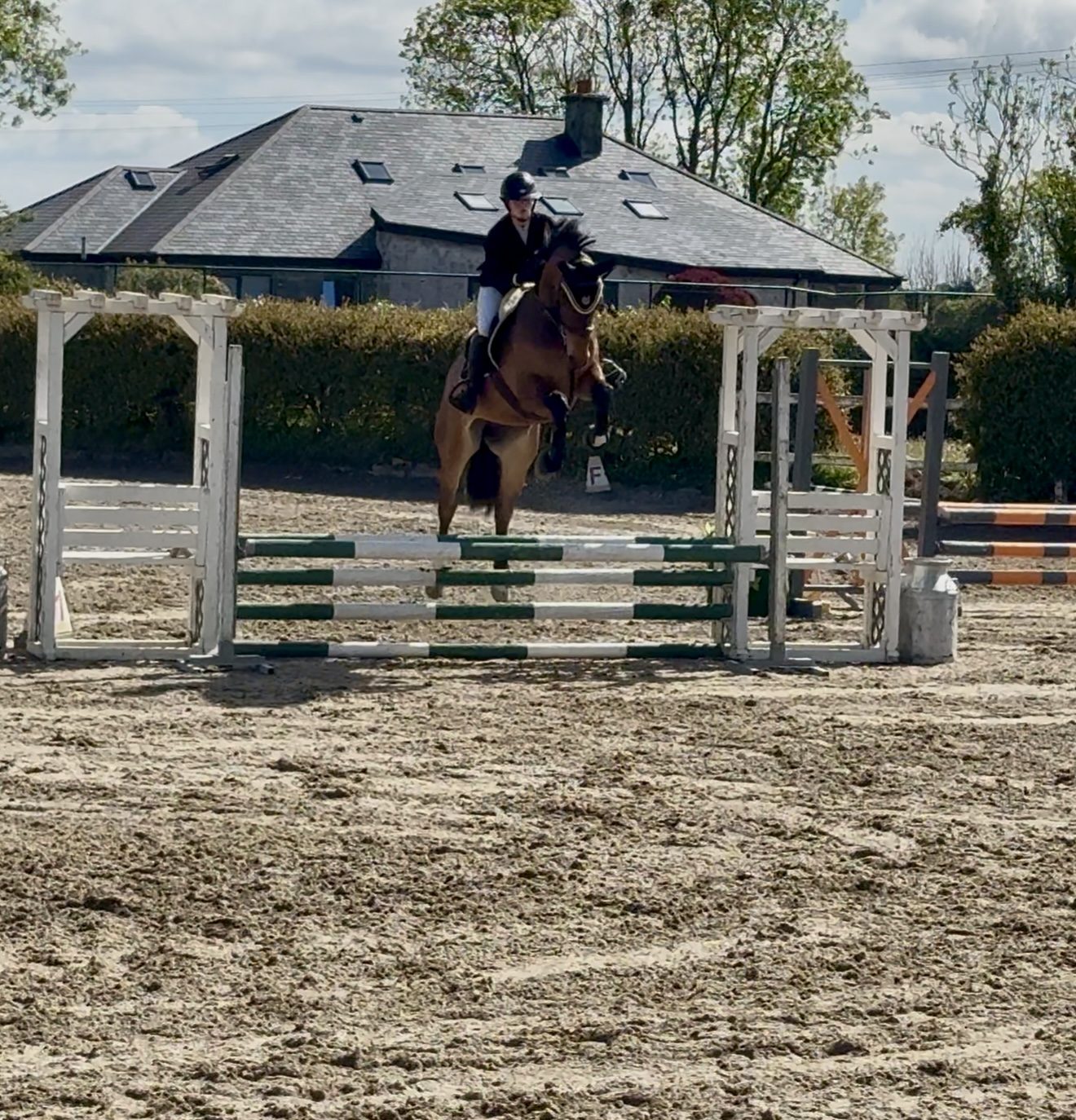Smashing Cascari 4yro photo 4