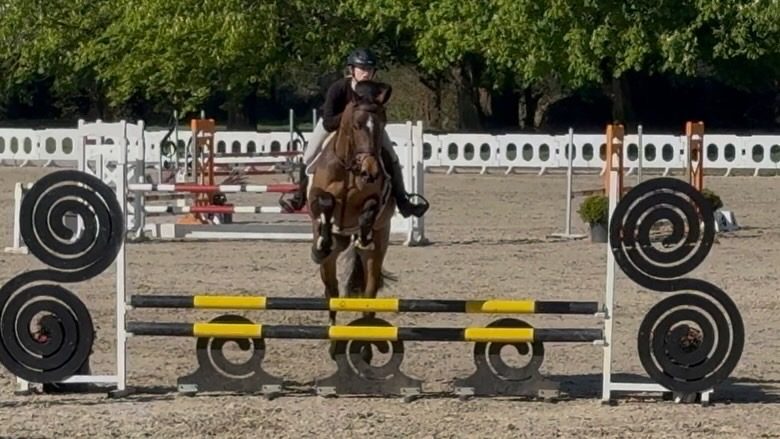 Smashing Cascari 4yro photo 5
