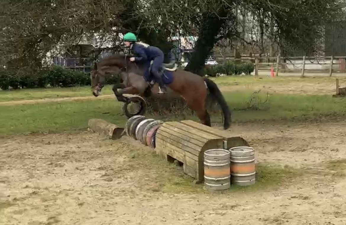 Smashing Cascari 4yro photo 6