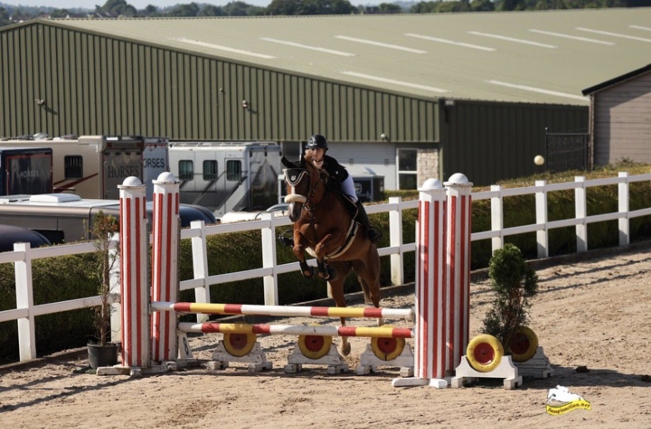 Flashy 4yro Mare