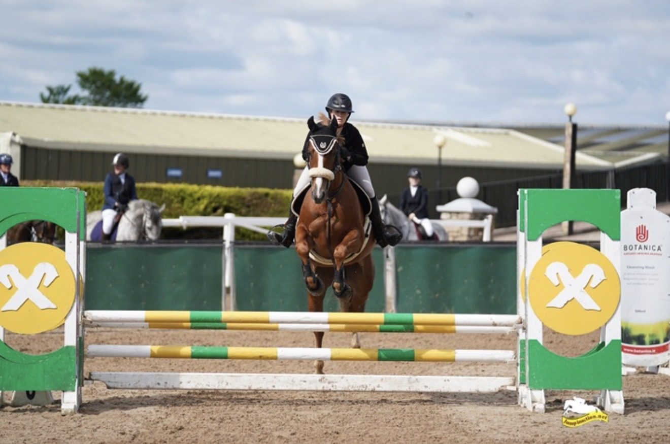 Flashy 4yro Mare photo 2