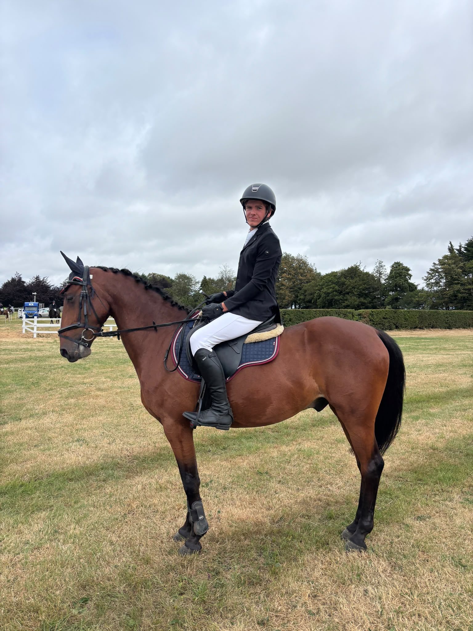 15,1hh bay gelding-genuine -allrounder photo 8